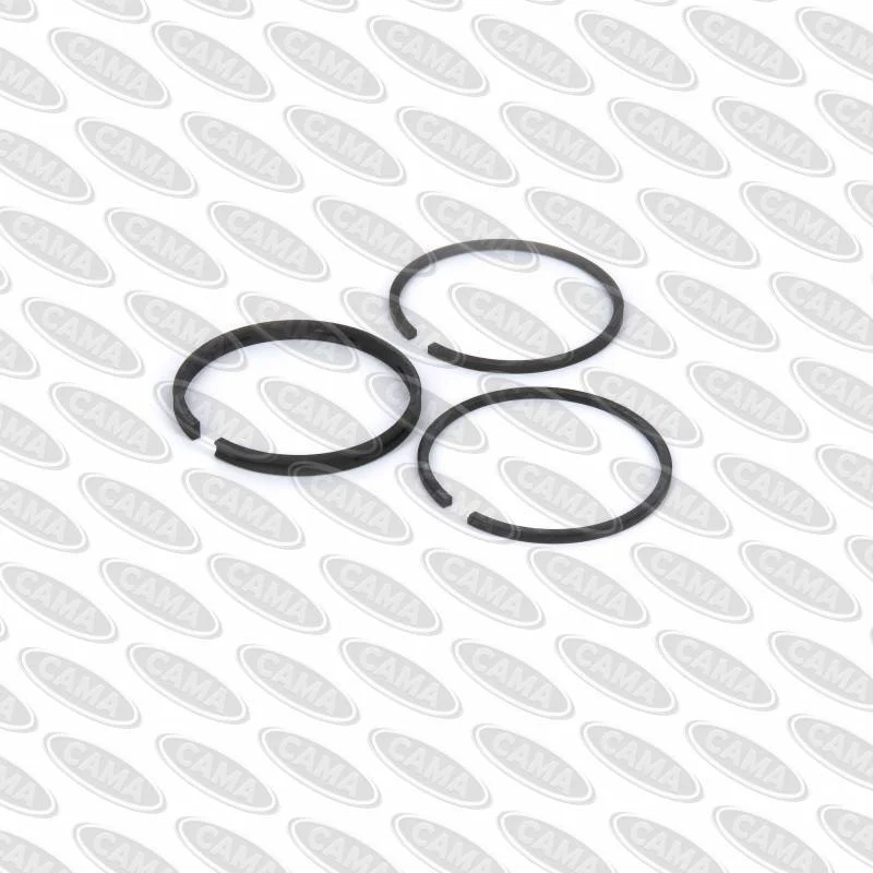 B&S #297201, 294232, 295657 Ring Set 2-3Hp Horiz