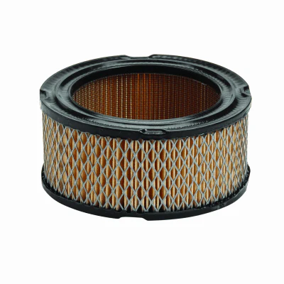 B&S #392286 10-12Hp Vert