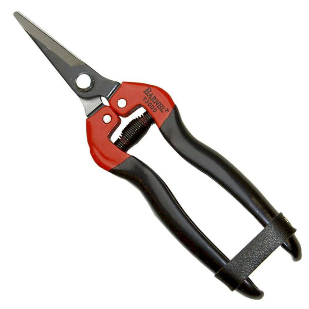 Barnel Blunt Needlenose Shear