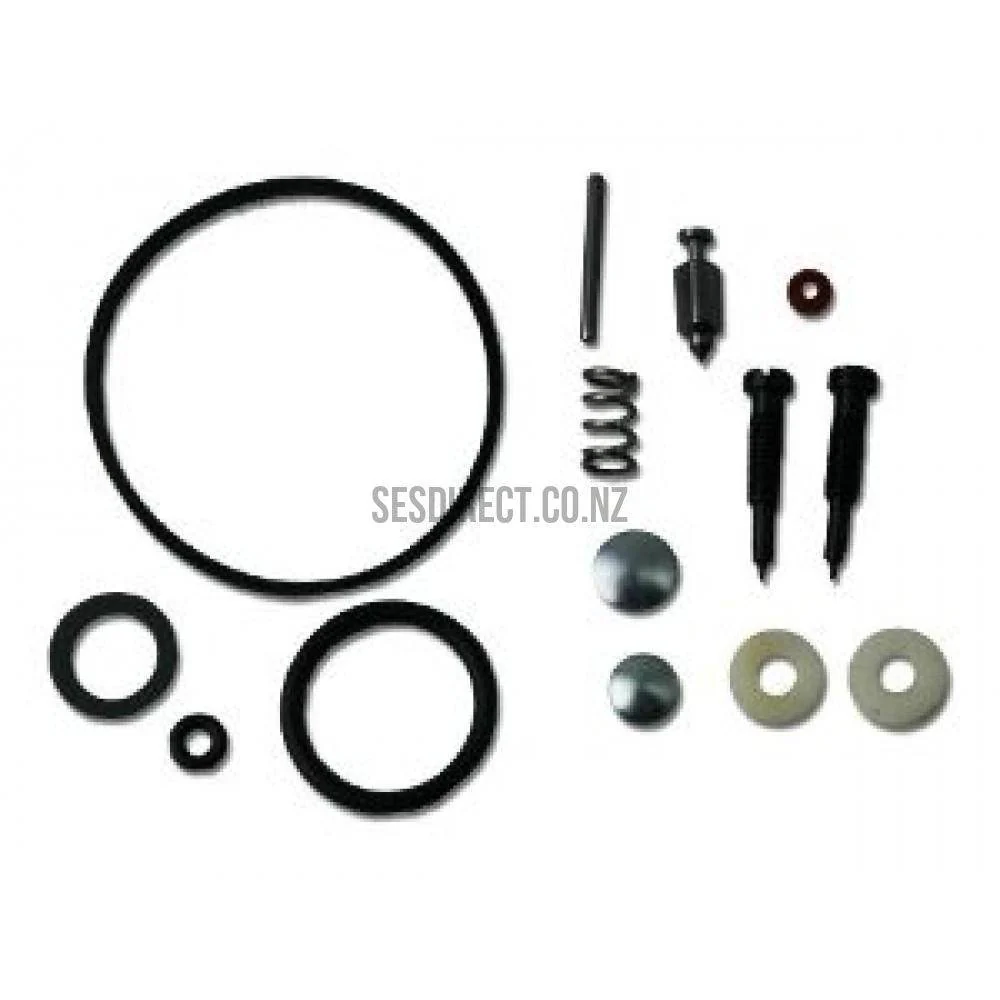 Briggs & Stratton 494349 Carburetor Overhaul Kit