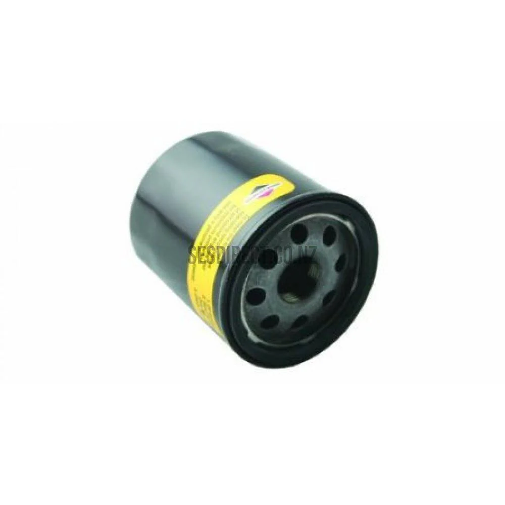 Briggs & Stratton 692513 Oil Filter Intek Pro