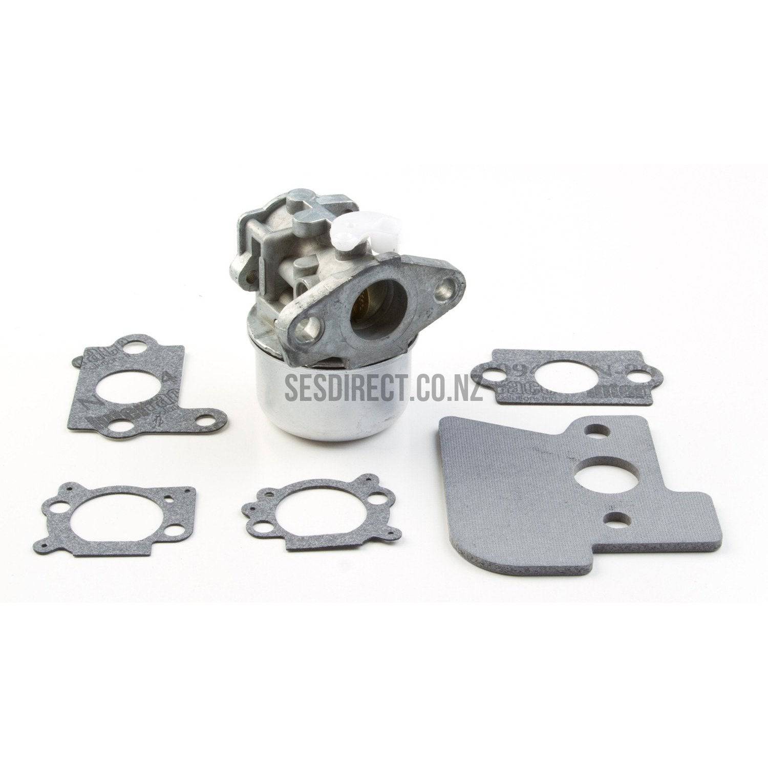 Briggs & Stratton 790120 Carburetor Replaces 694202 693909 692648 - OBSOLETE