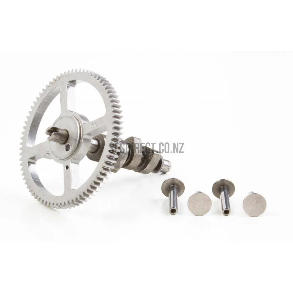 Briggs & Stratton 790562 Camshaft Replaces 699748