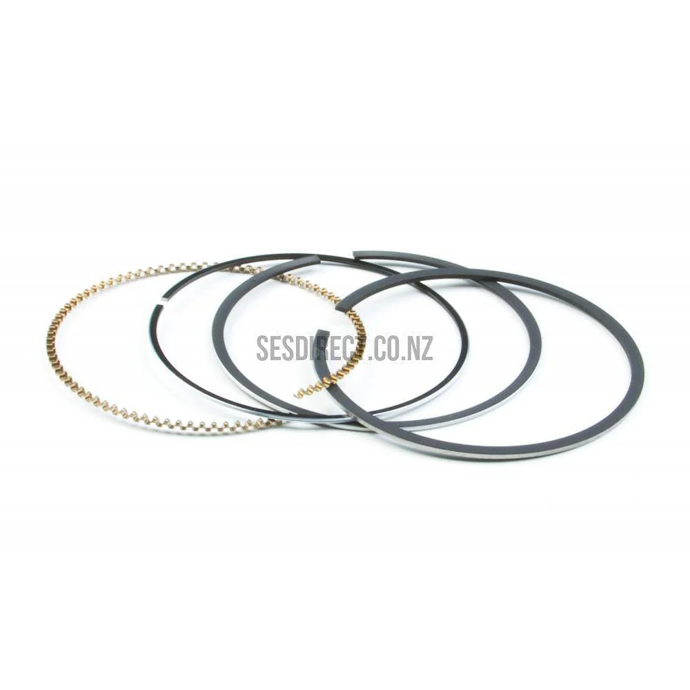 Briggs & Stratton 795431 Ring Set