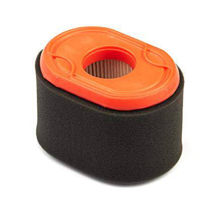 Briggs & Stratton Air Filter 796970