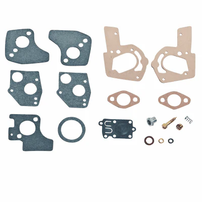 Briggs & Stratton Carb Kit 495606