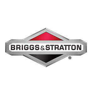 Briggs & Stratton Dipstick/Tube Assy - OBSOLETE