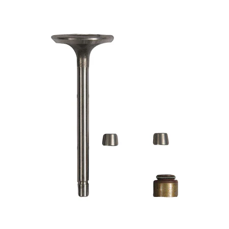 Briggs & Stratton Intake Valve 845712