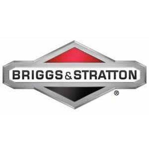 Briggs & Stratton Pin-Piston 844541