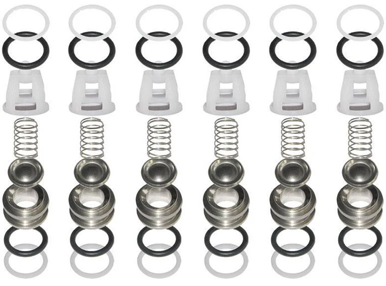 Comet 5025.0021.00 Valve Kit for TW Series Pumps