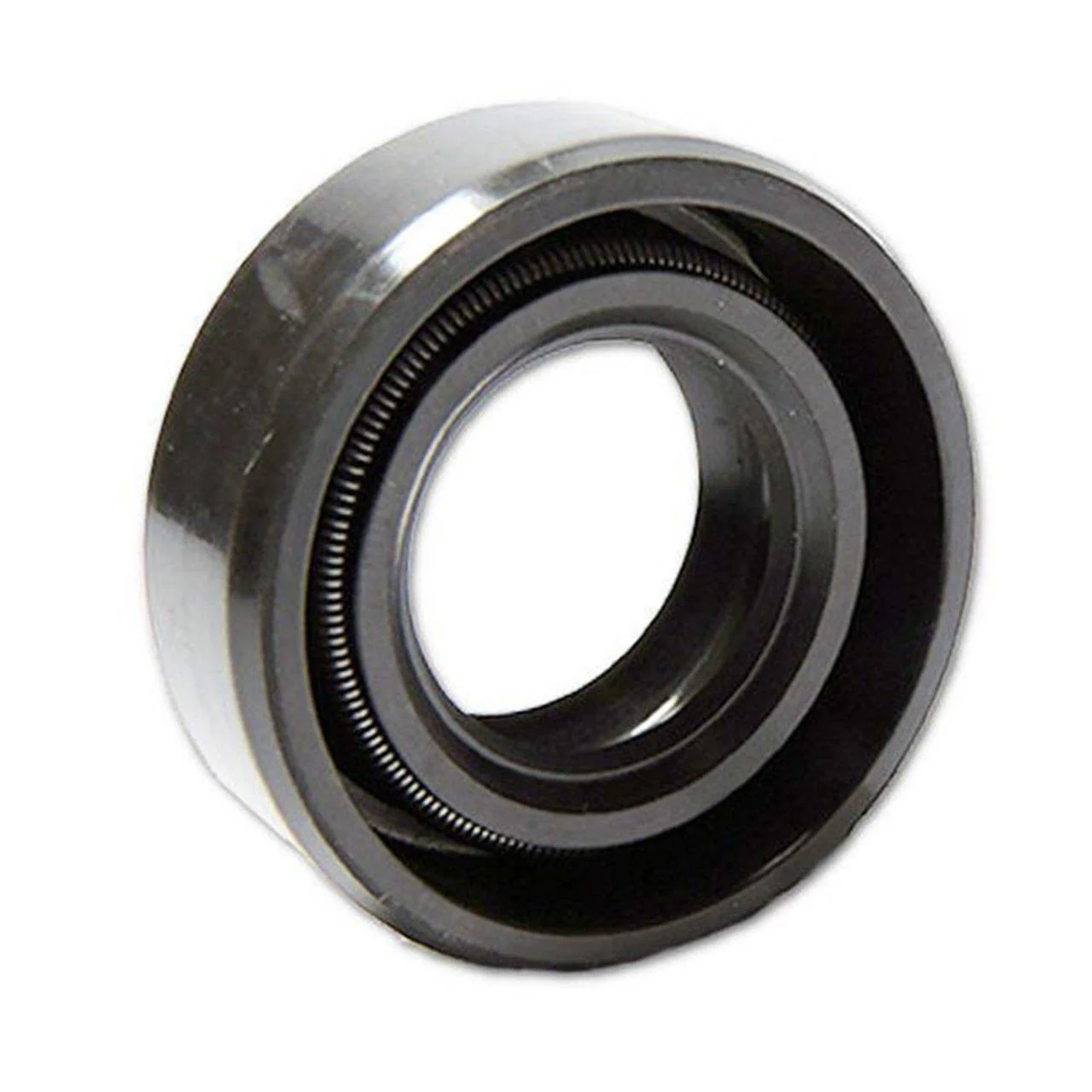 Echo #10021219830 OILSEAL