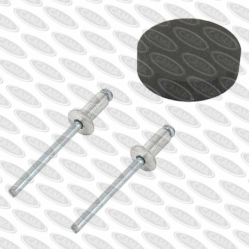 Genuine Greenfield Brake Pad & Rivets #Gt22920