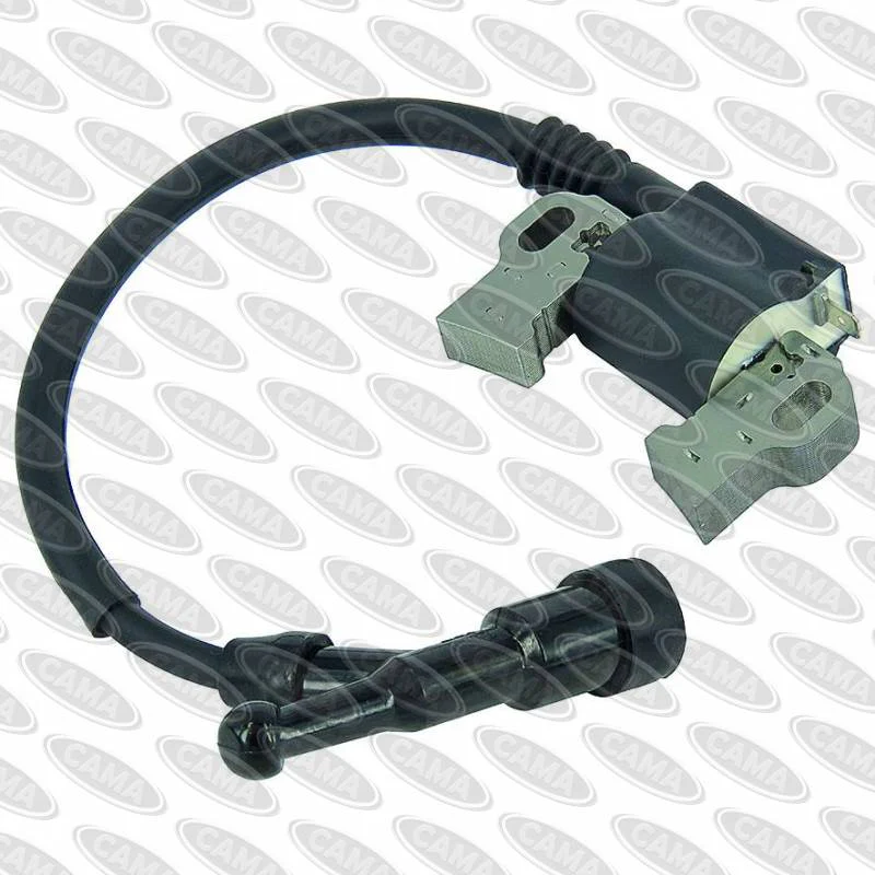 Ignition Module