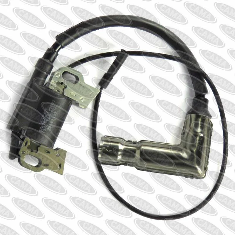 Ignition Module Sina/Loncin 270920175T370, 2709202510001