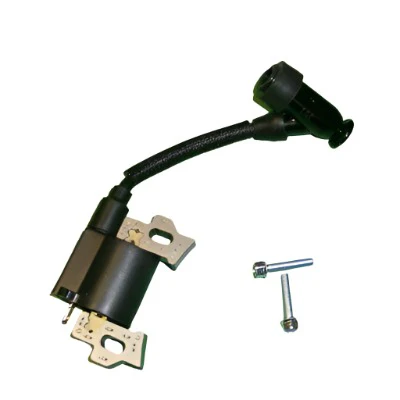 Vf118005 Ignition Assembly
